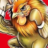 🐓ตามติดคู่ชน ติดมัดจำ🐓