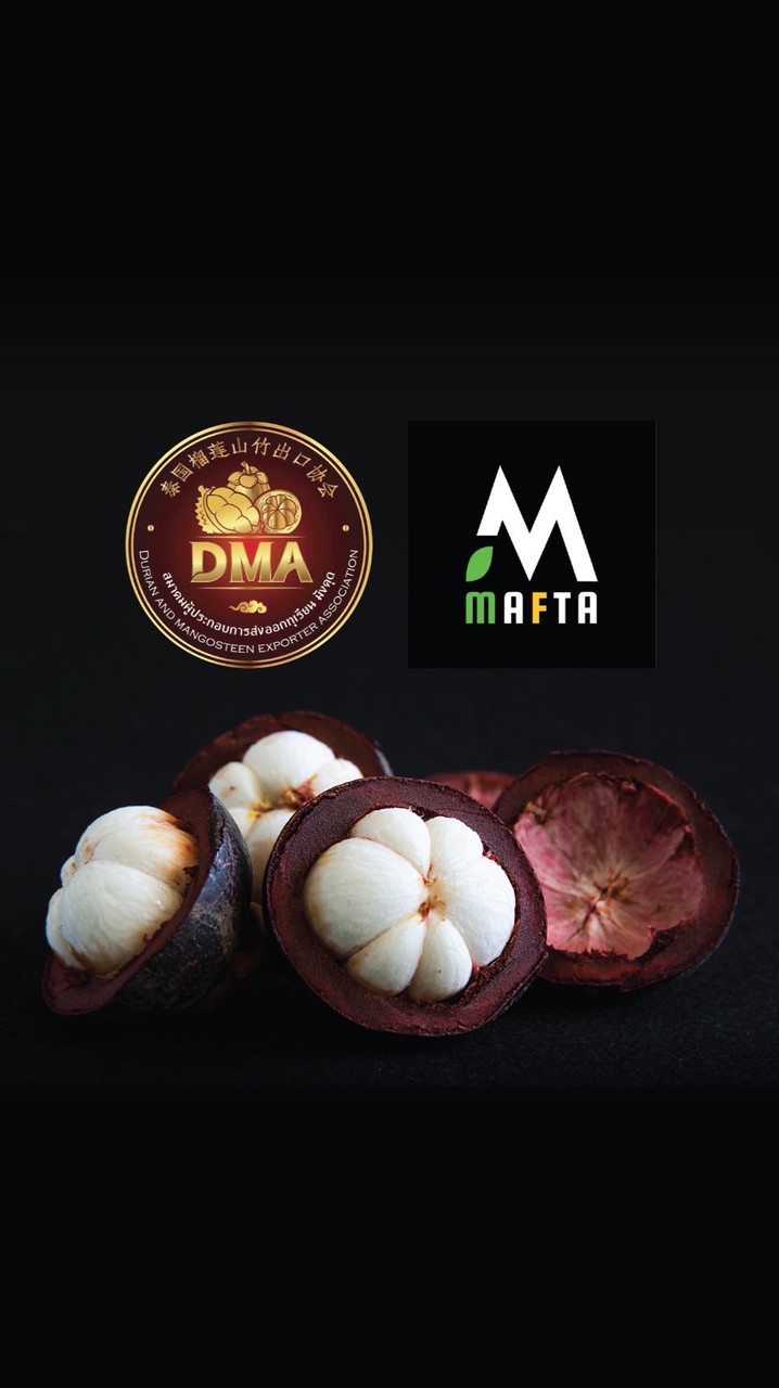 DMA ผู้ประกอบการมังคุด