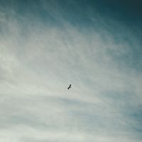 Studio群蒼 9月写真展『TURN UP』