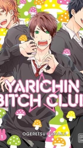 Yarichin Club