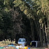 12月12日浦野ファームでバーベキュー&交流会　縄文時代の飯を食おう！＠浦野帝国