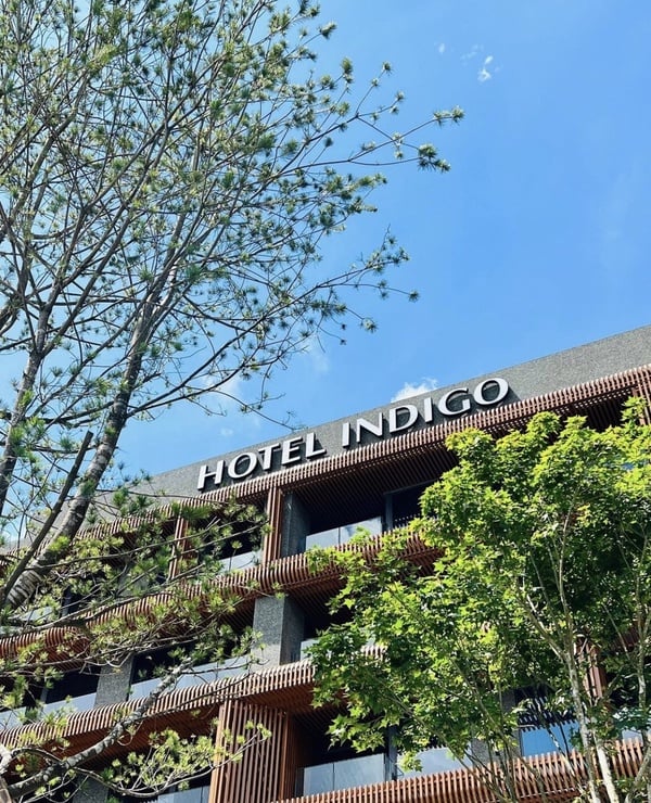 2023新開幕話題飯店：阿里山英迪格酒店