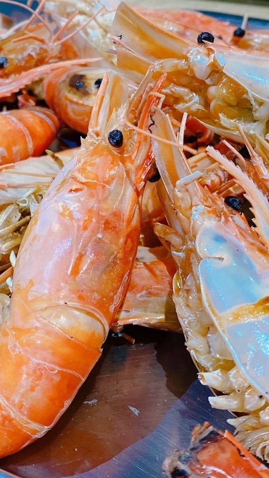 釣魚蝦Les彩虹群