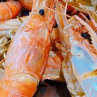 釣魚蝦Les彩虹群