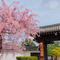 🌿‬🌹大人の雑談交流部屋🌹🌿‬全国版（☕•᎑•☕）