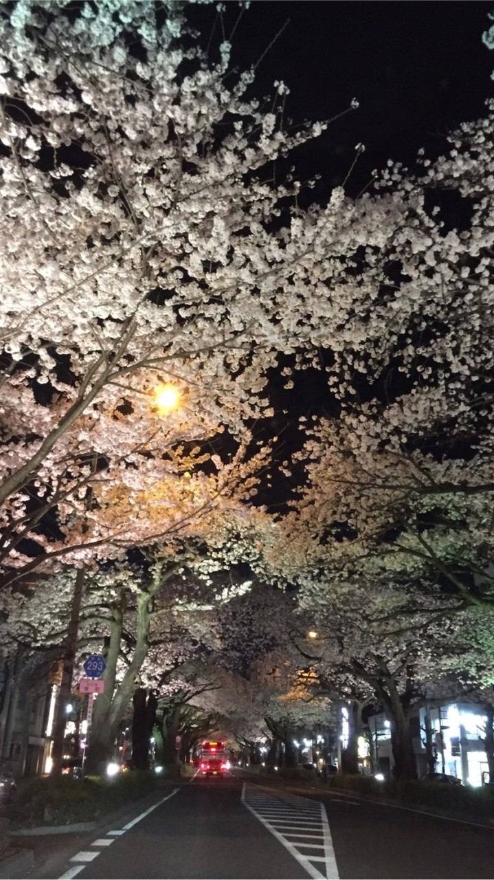 🌸日立ママの雑談部屋🌸