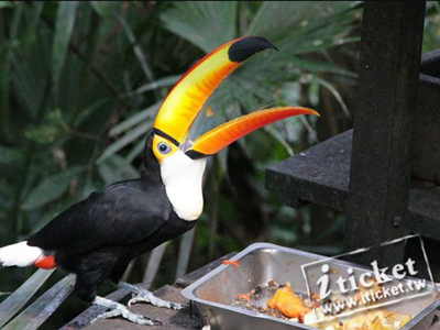 【愛票網】新竹綠世界生態農場入園優惠門票