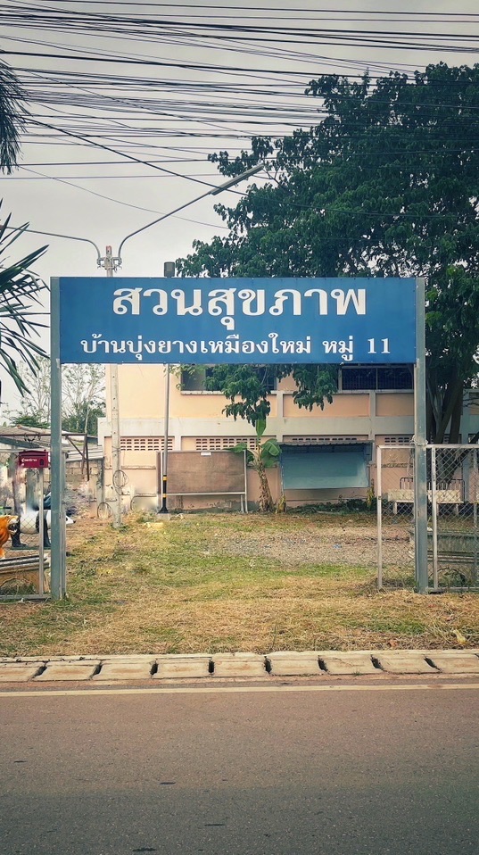 ม.11@วัดป่า