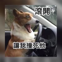 貓貓蟲🐱家族