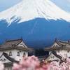 PinkLoveJapan日本代購-粉粉愛日貨