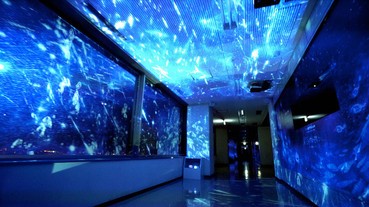 佐賀縣廳化身夜景展望室與水族館