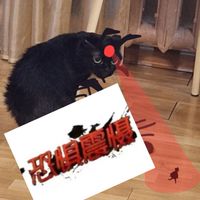光遇 第五聊天群✌🏽