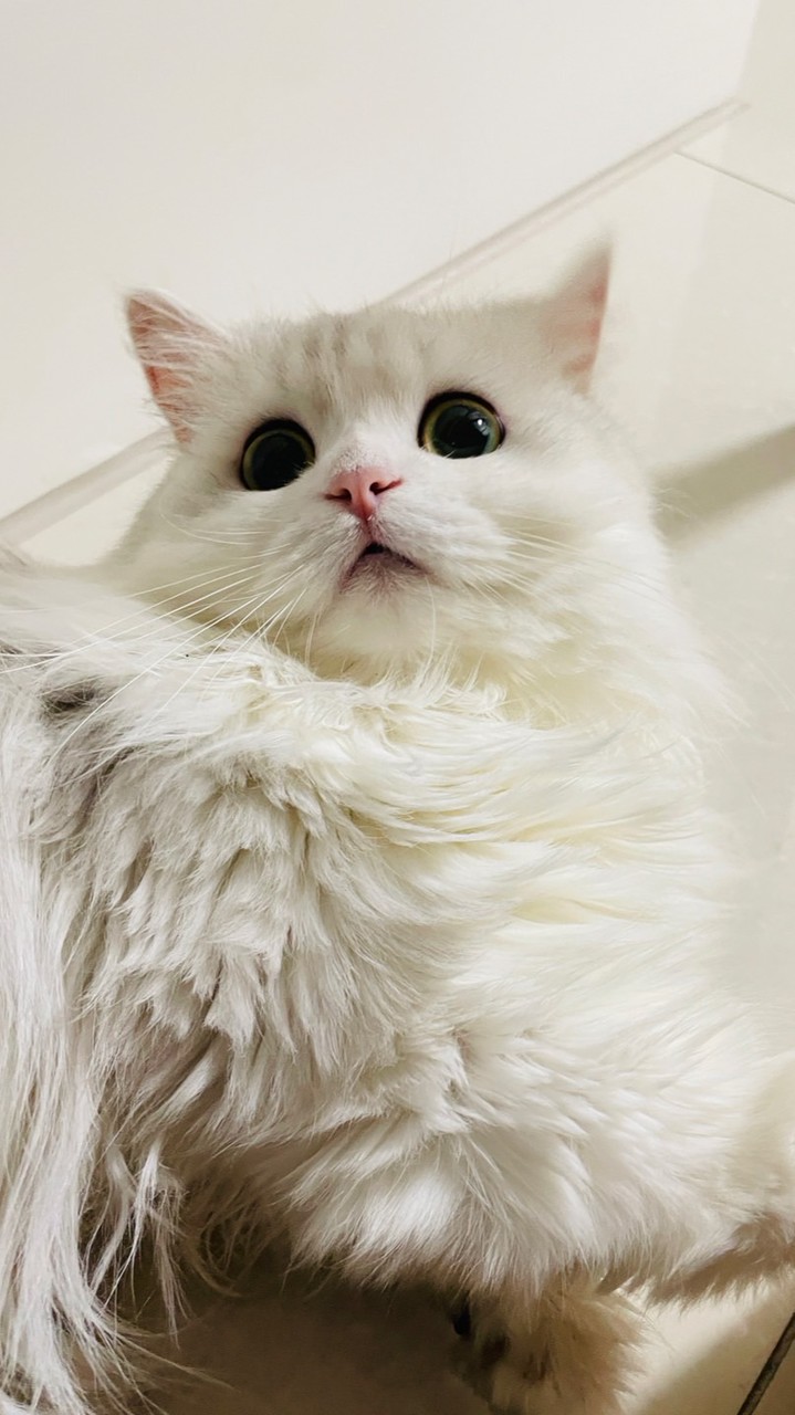 代購區