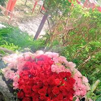 大人の雑談〜趣味部屋〜