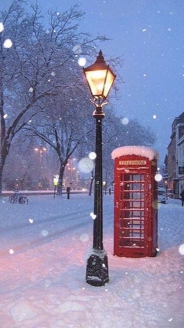 雪が綺麗と笑うのは君がいい❄︎.*全緩夢ハント