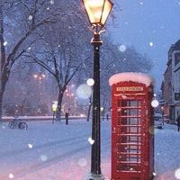 雪が綺麗と笑うのは君がいい❄︎.*全緩夢ハント