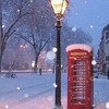 雪が綺麗と笑うのは君がいい❄︎.*全緩夢ハント