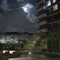 鼎旺生鮮蔬果團購群