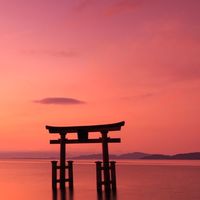 旅行の情報を共有しませんか