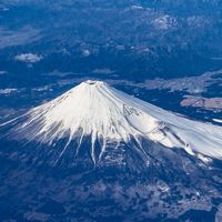 🇯🇵鸚鵡二毛日本代購🛒