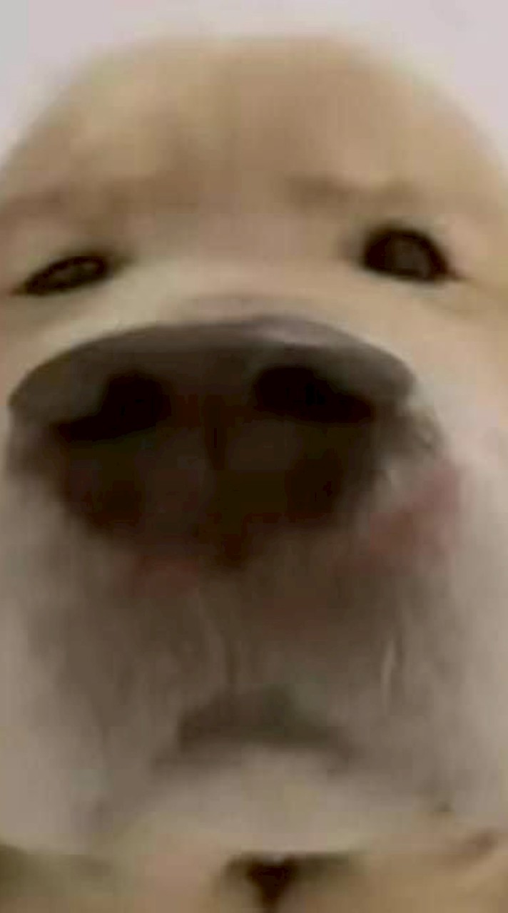 can you play Roblox with me
