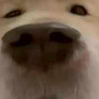 can you play Roblox with me