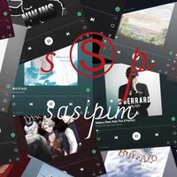 SSP Project