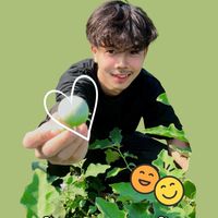 เตฮับ(วาฮับ)