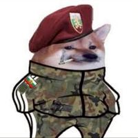らまるがんサーバーそれ以上もそれ以下もない