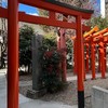 数秘術、(レイキ)ヒーリング、ヨガ、言霊、神社、体験会&お食事会、🉐情報