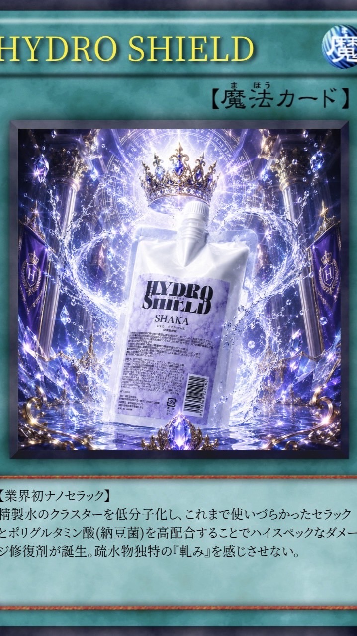 8/25 千葉会　シダSHAKAセミナー
