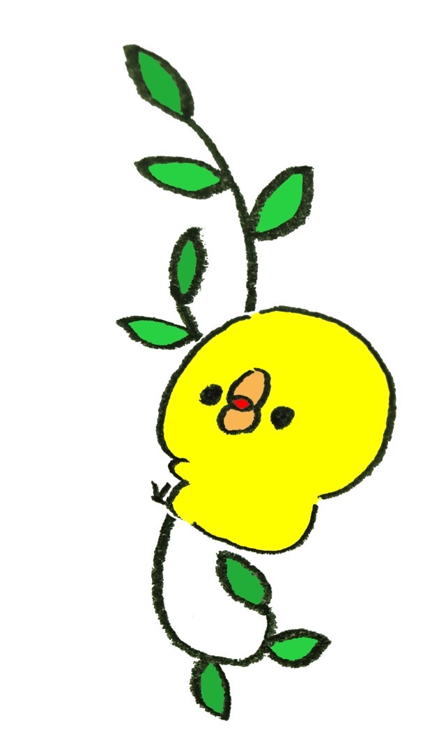 ふぞごき