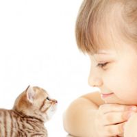 猫の集会所🐈