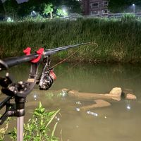 北科釣魚創社群
