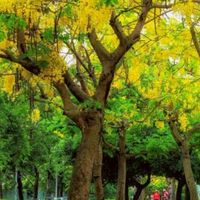 福和46家長委員會官方Line群組