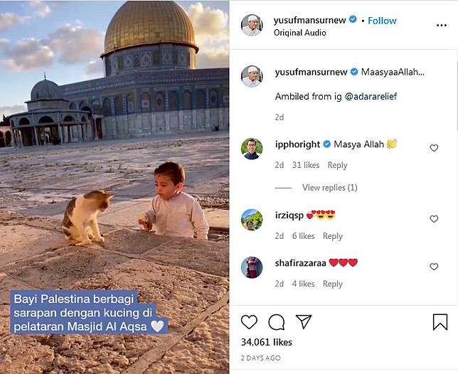 Siap Grak! Balita Di Palestina Beri Makan Kucing Membuat Haru, Ini 