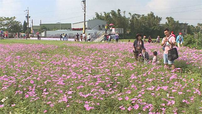 21桃園花彩節開幕花海結合棒球元素超吸睛 民視新聞網 Line Today