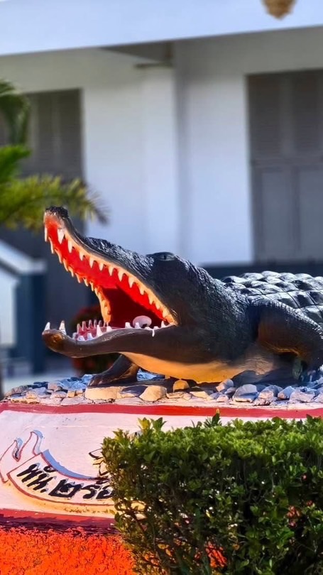 แม่บ้านร้อยจระเข้🐊🧡(30/69)