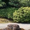 スッキリ断捨離部