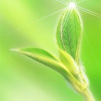 餐桌營養學D組