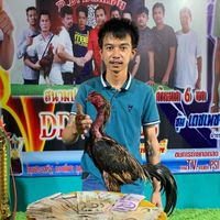 ฝากผสมเจ้าโตโน่