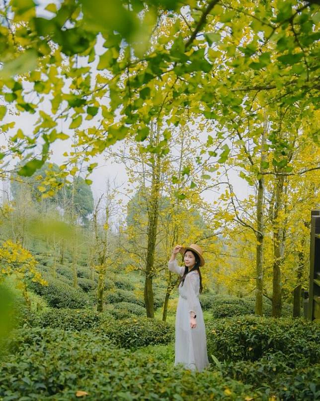 圖片授權：IG @look1221