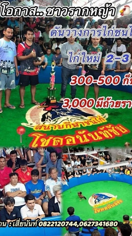 สนามชนไก่โชคอนันท์ชัย