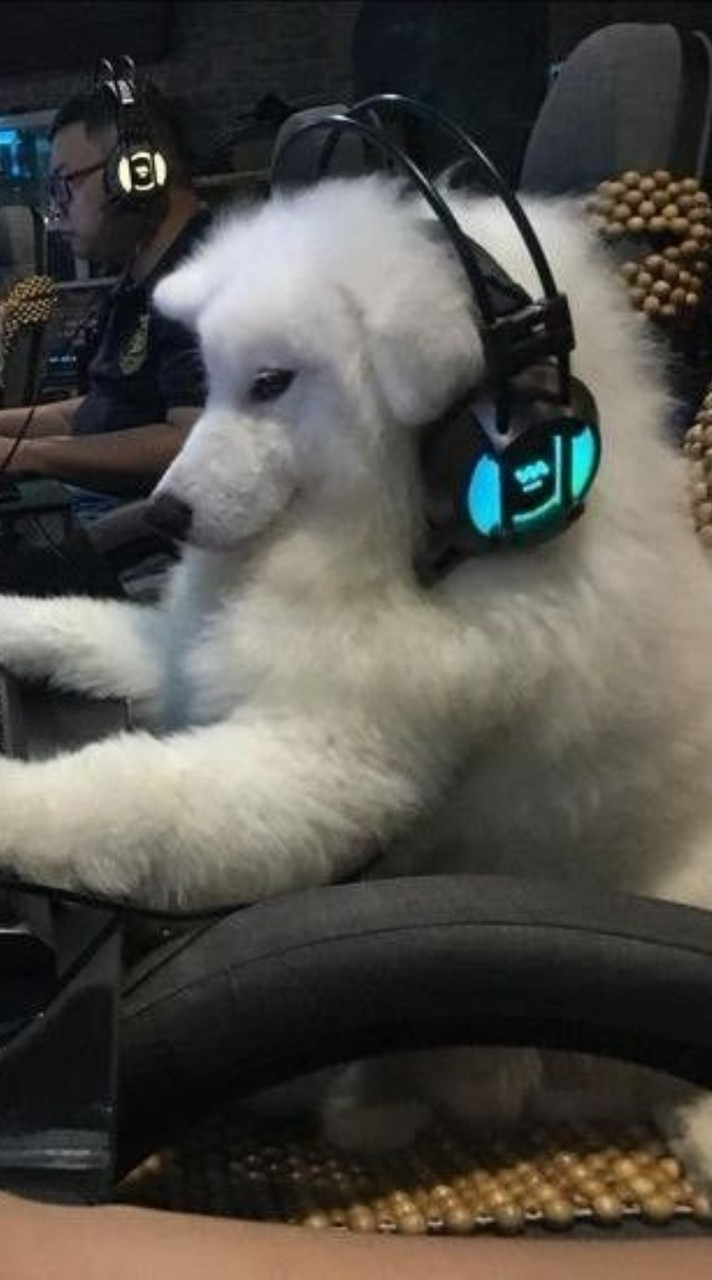 ⁺₊⁺MMLP • 𝒜𝓅𝓅𝓅𝓇𝑒
