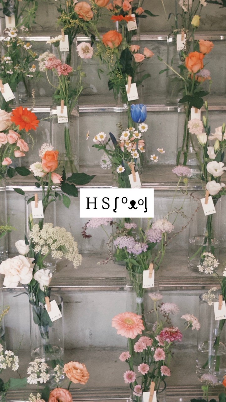 HSᶘ ᵒᴥᵒᶅ 5/13韓國連線🇰🇷