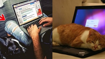 5 萬張照片全沒了！盤點 13 個無意間「破壞」筆電壞習慣