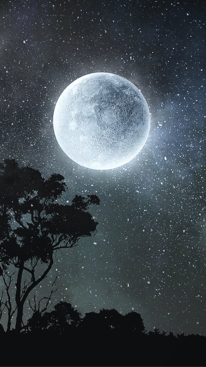 The Moon ฮ่องเต้ติดเกมส์