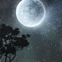 The Moon ฮ่องเต้ติดเกมส์