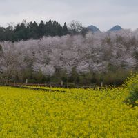 鄭老師舞蹈