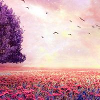 千日紅のお花屋さん